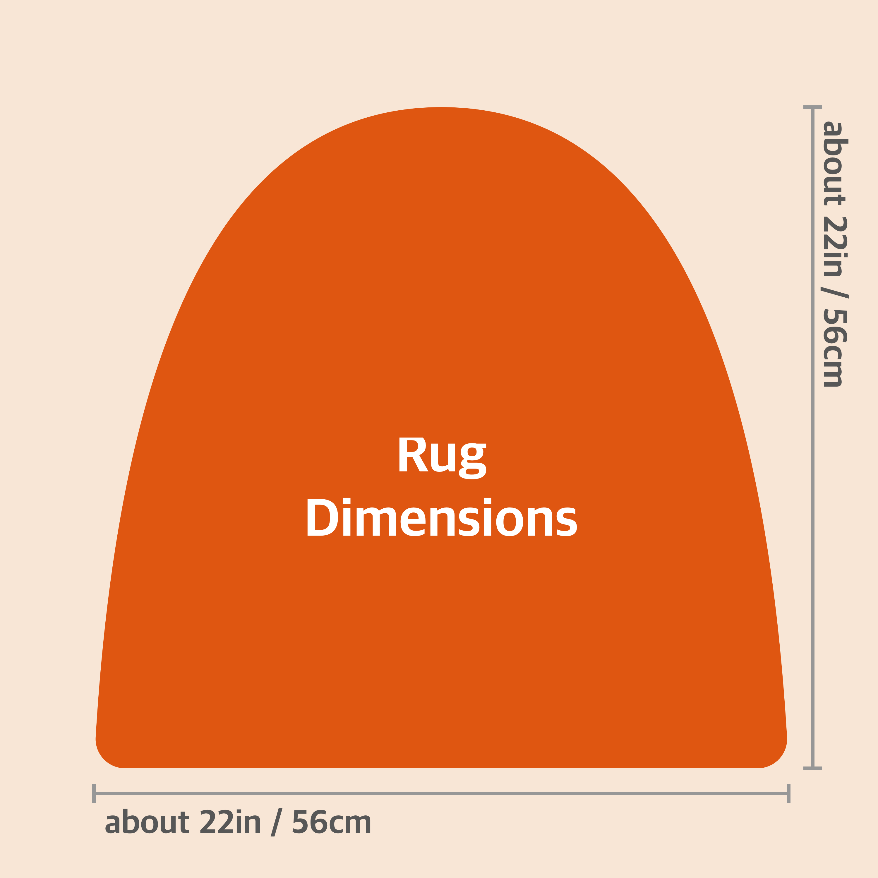 Are You FXXKING Stupid?